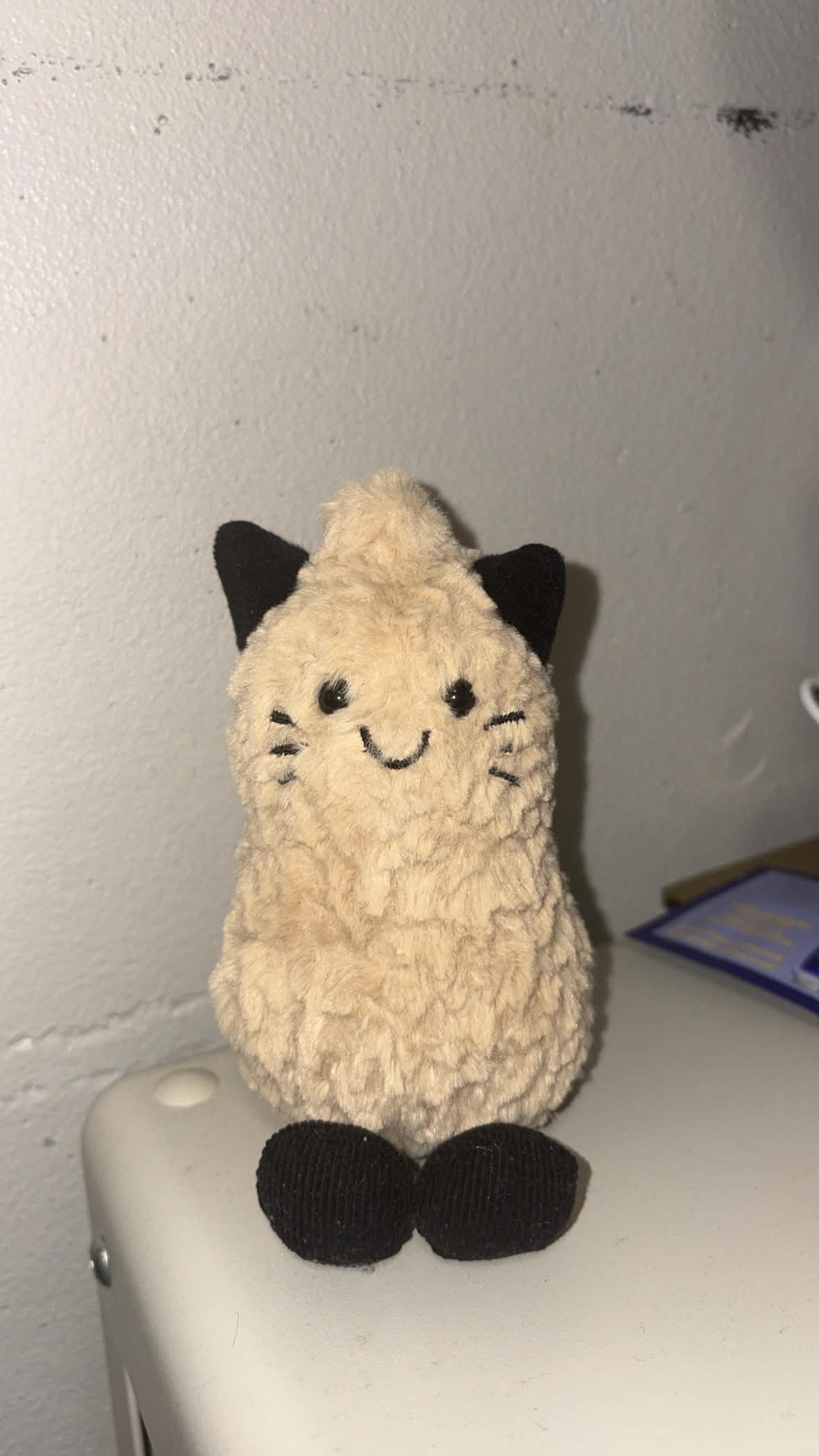 A cute stuffed peanut cat toy. The project examines how shape and material can influence the emotional connection between user and object.